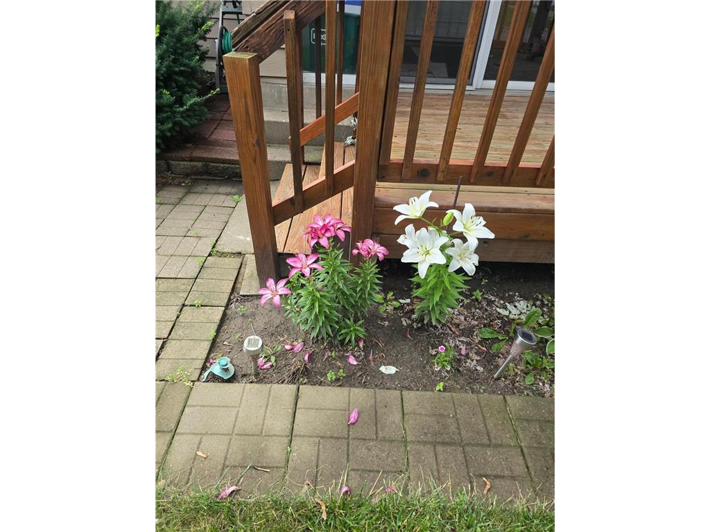 8214 32nd Place N Crystal MN 55427 6810944 image29