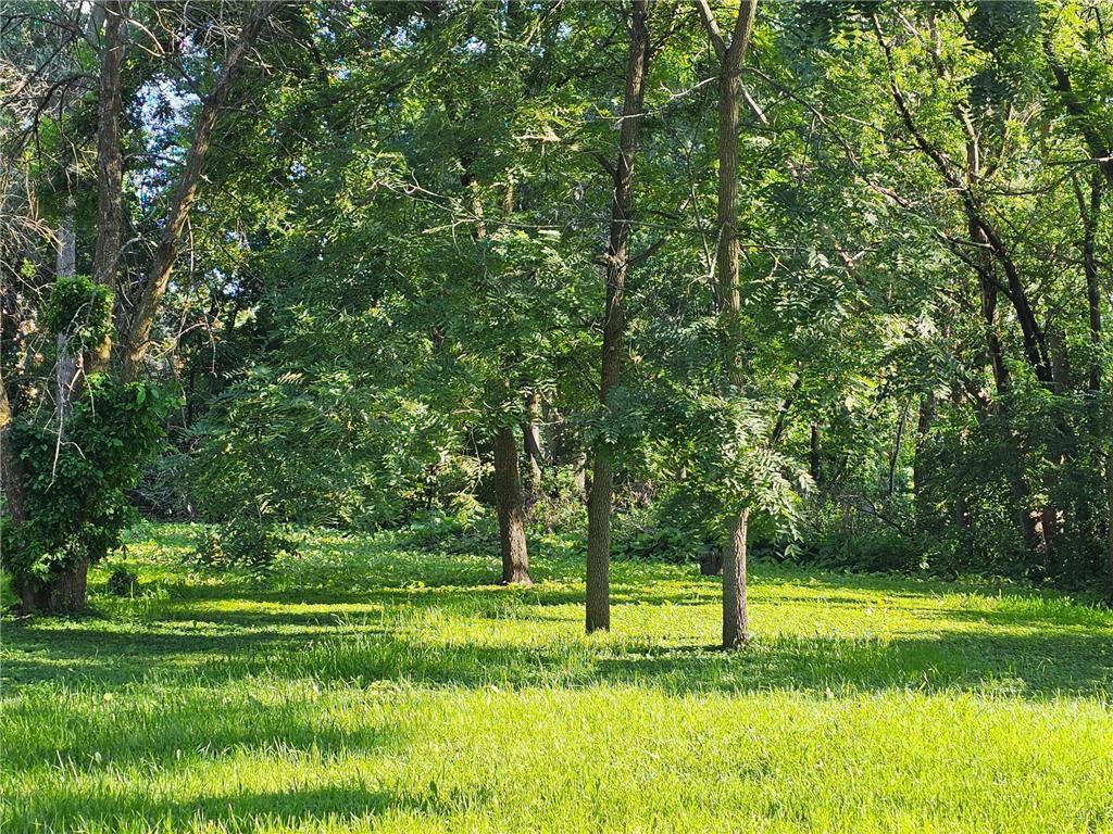 822 Palm Court Maplewood MN 55109 6683467 image11