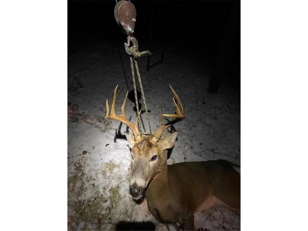 8225 N Blaisdell Lake Winter WI 54896 7068617 image28