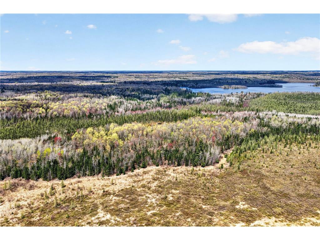 8225 N Blaisdell Lake Winter WI 54896 7068617 image6
