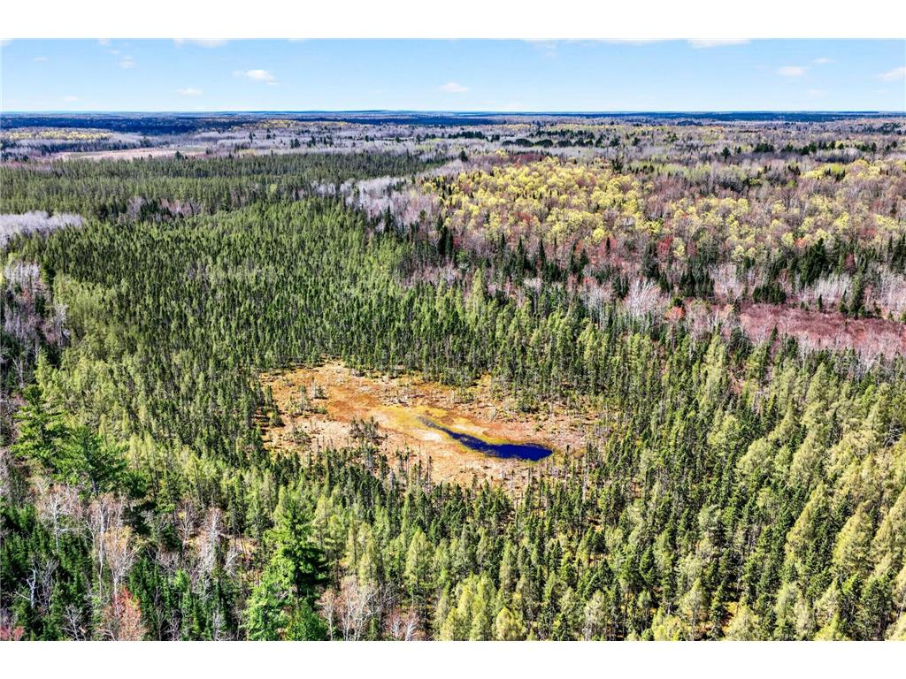 8225 N Blaisdell Lake Winter WI 54896 7068617 image9