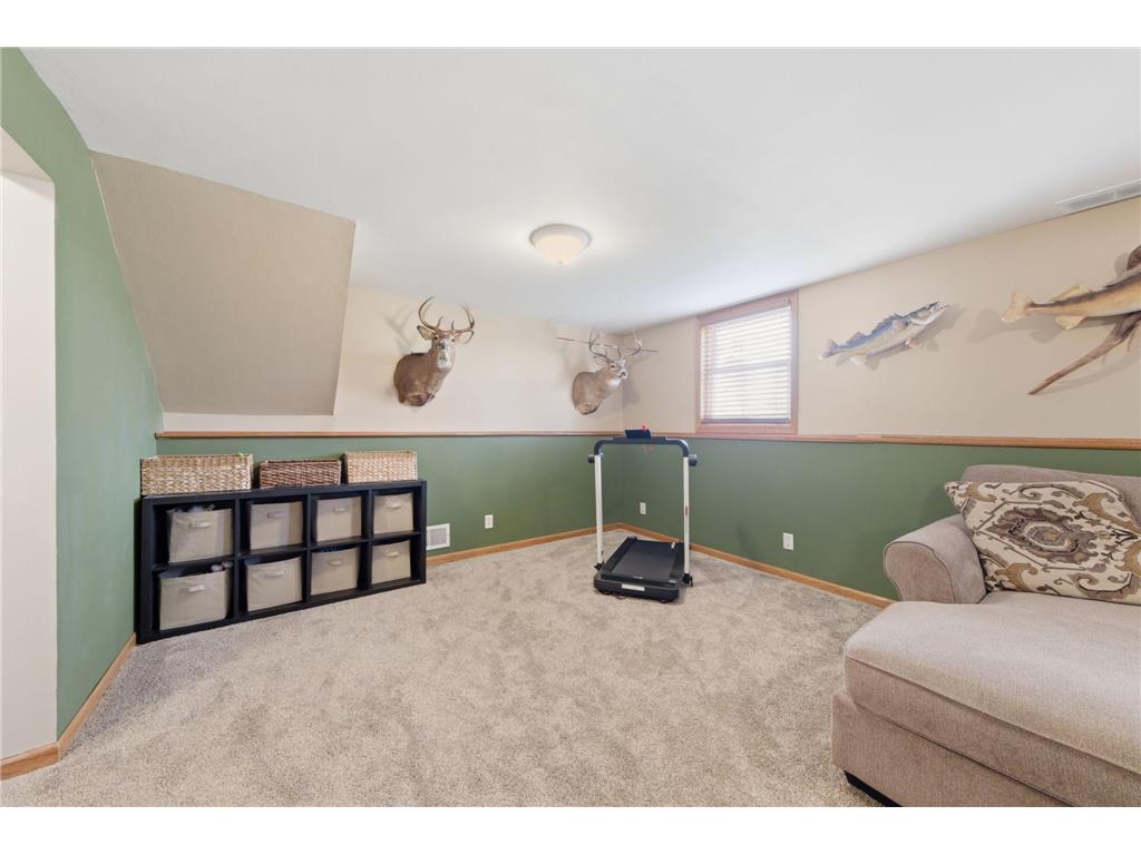 8226 Hillside Trail S Cottage Grove MN 55016 7051974 image24