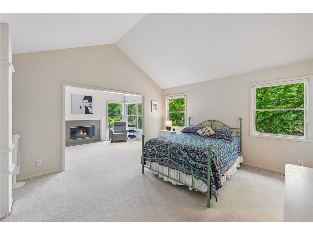 823 Hidden Meadow Trail Eagan MN 55123 7089888 image14