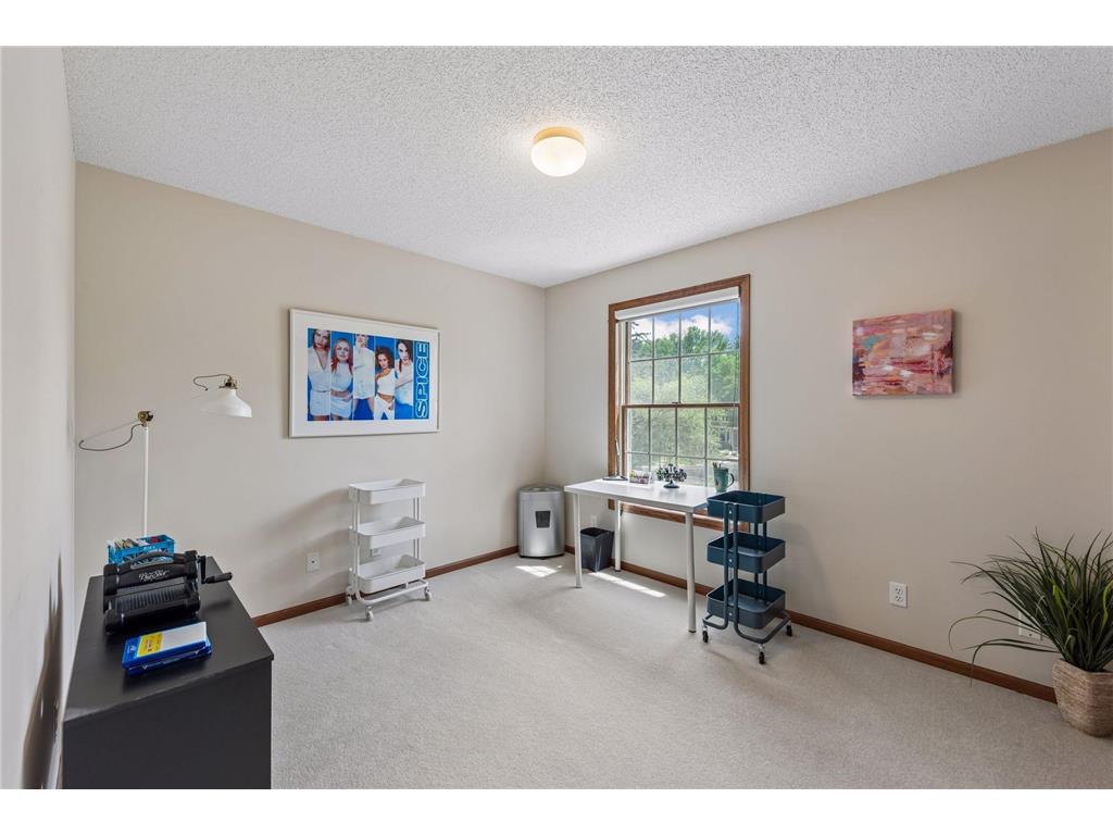 823 Hidden Meadow Trail Eagan MN 55123 7089888 image19