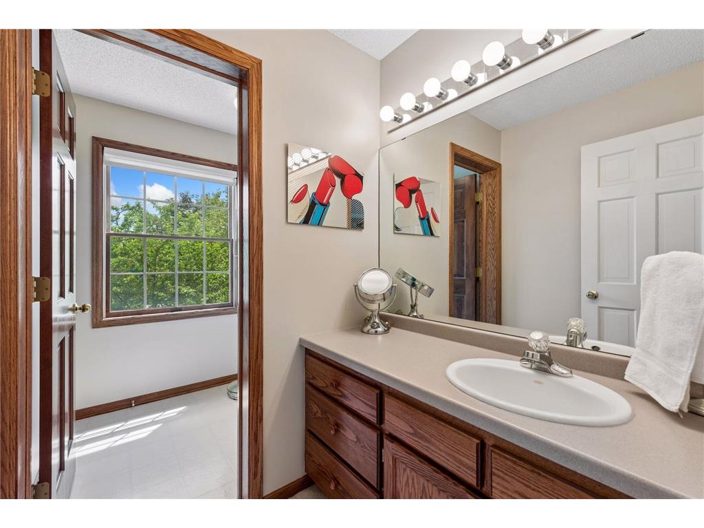 823 Hidden Meadow Trail Eagan MN 55123 7089888 image20