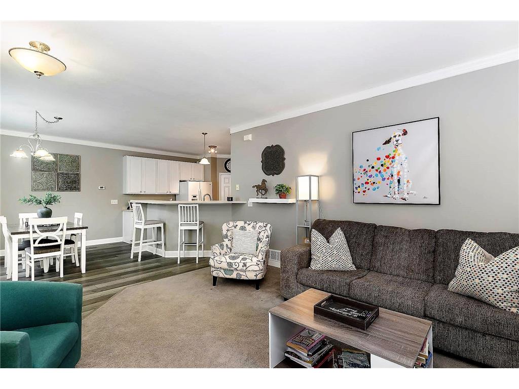 823 Tamarack Trail #1205 Farmington MN 55024 6333101 image1