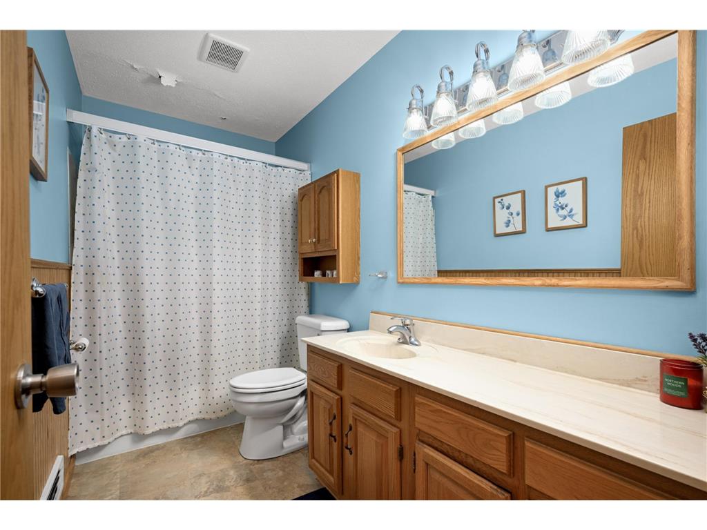 8235 Indian Boulevard Court S Cottage Grove MN 55016 7046288 image13