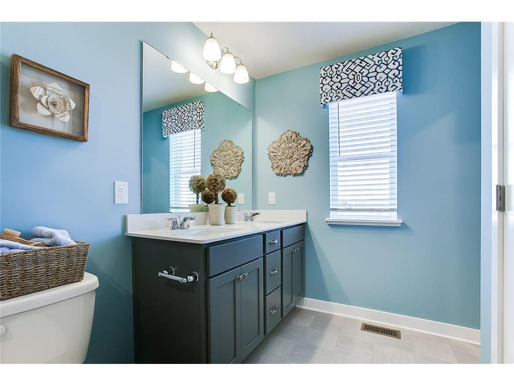 8236 Saddle Trail Woodbury MN 55129 6750122 image18