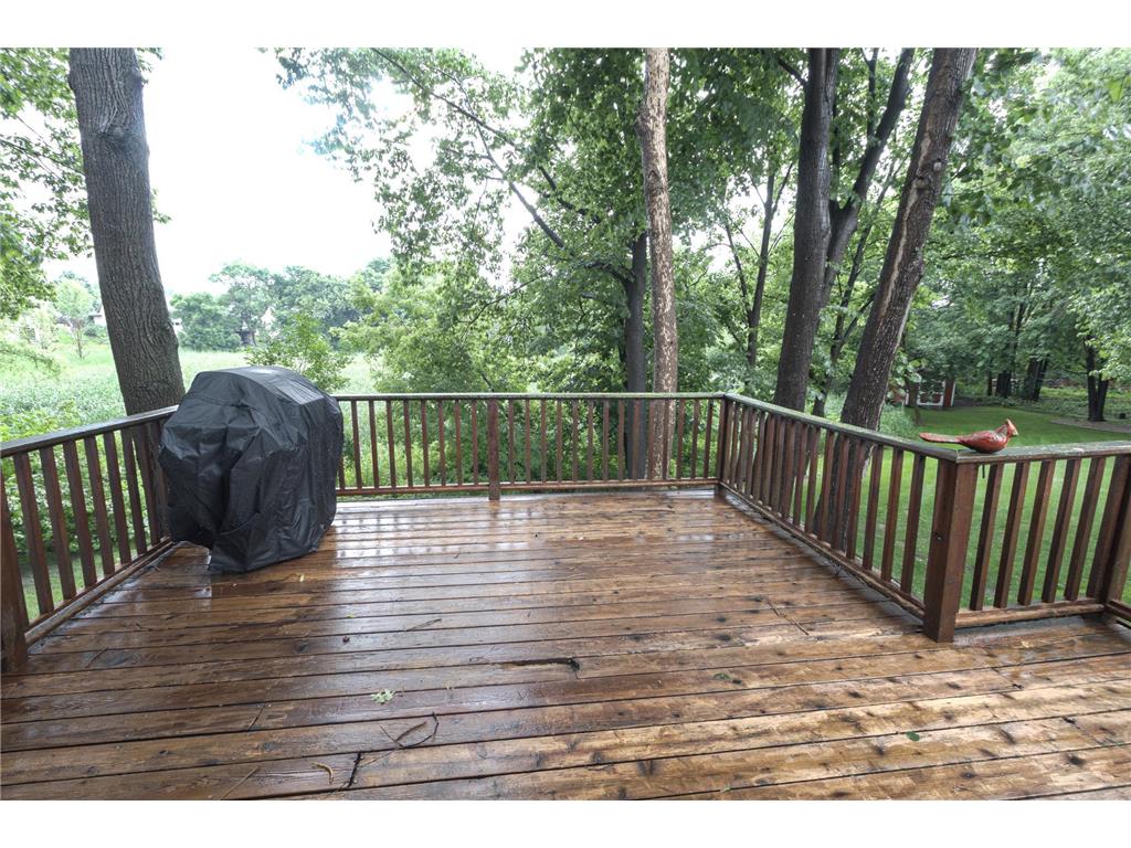 8237 Orchid Lane N Maple Grove MN 55311 7094433 image29