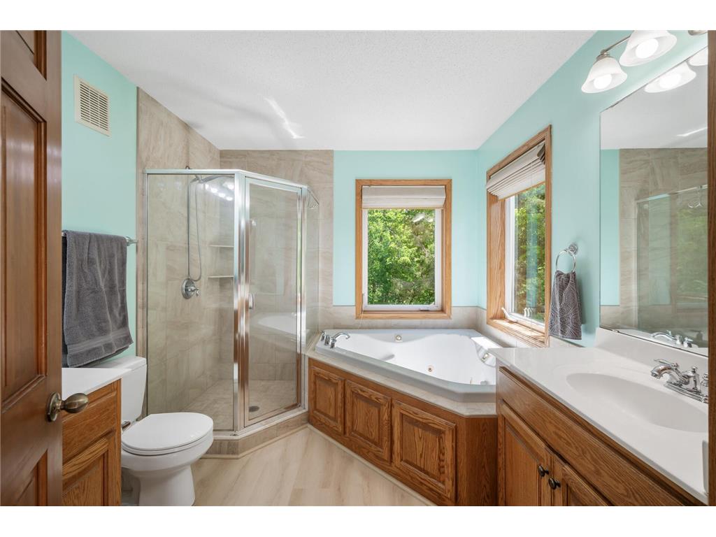 824 Bridle Creek Lane Jordan MN 55352 6759859 image19