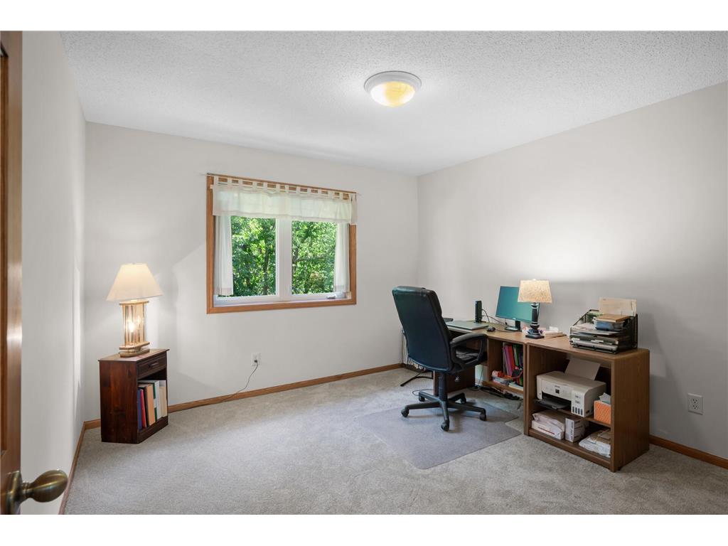 824 Bridle Creek Lane Jordan MN 55352 6759859 image23