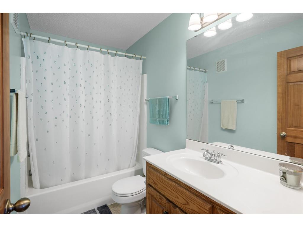 824 Bridle Creek Lane Jordan MN 55352 6759859 image24