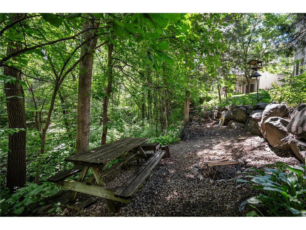 824 Bridle Creek Lane Jordan MN 55352 6759859 image35