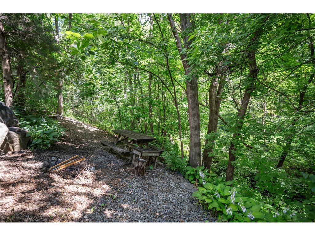 824 Bridle Creek Lane Jordan MN 55352 6759859 image36