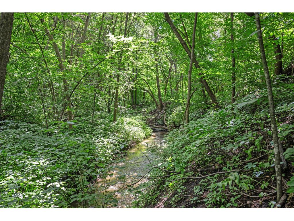 824 Bridle Creek Lane Jordan MN 55352 6759859 image37