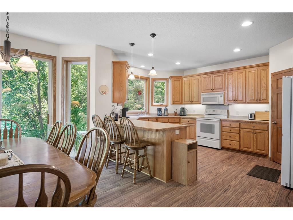 824 Bridle Creek Lane Jordan MN 55352 6759859 image9