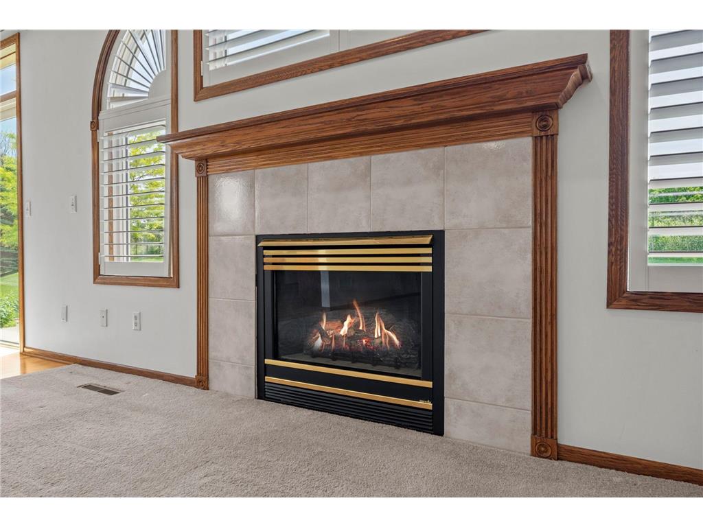 824 Monet Court Mendota Heights MN 55120 7087914 image6