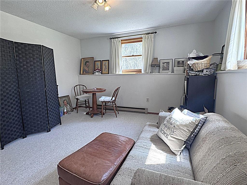 8246 Red Pine Lane NE Northern Twp MN 56601 7080981 image47