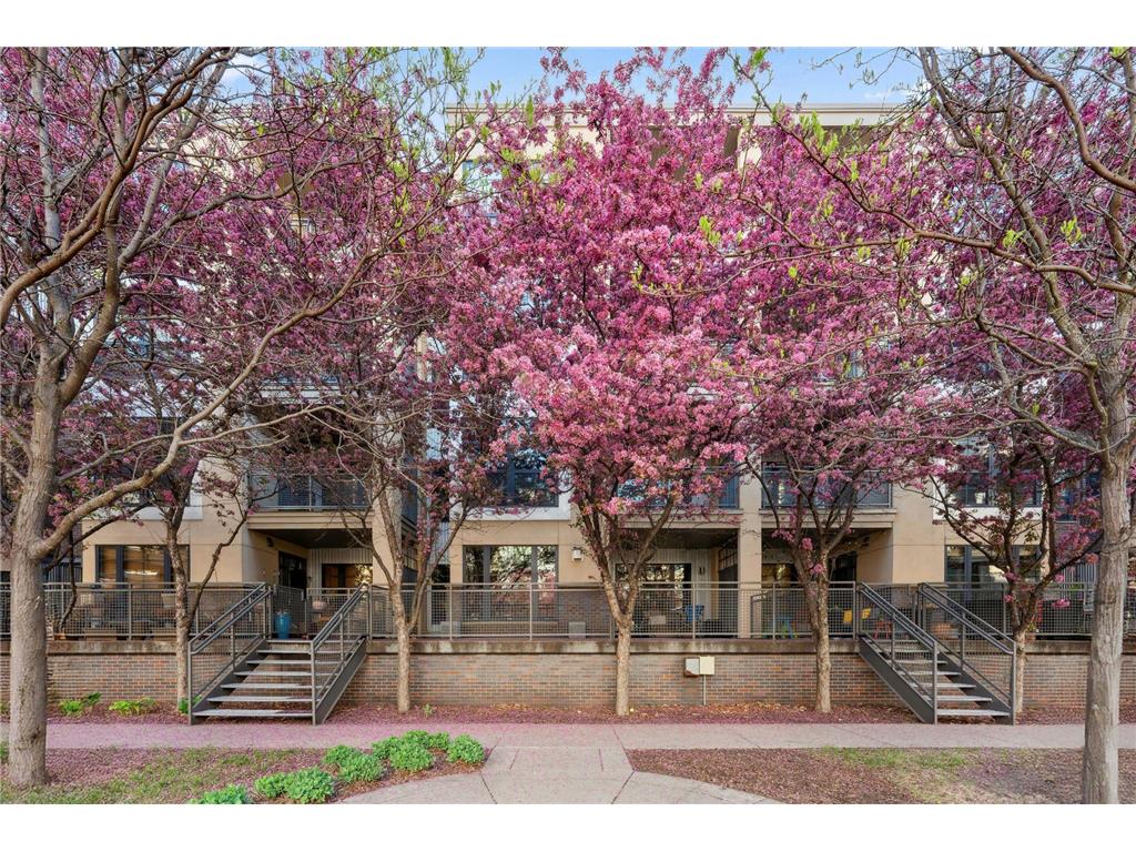 825 Berry Street #201 Saint Paul MN 55114 6728321 image1