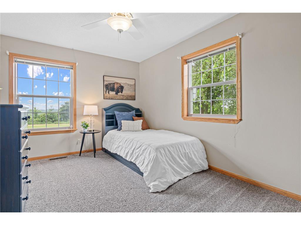 8254 110th Street Spring Lake Twp WI 54767 7086535 image19