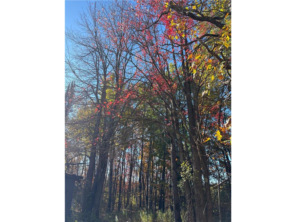 82728 Shady Pine Road Bruno Twp MN 55712 6802109 image12