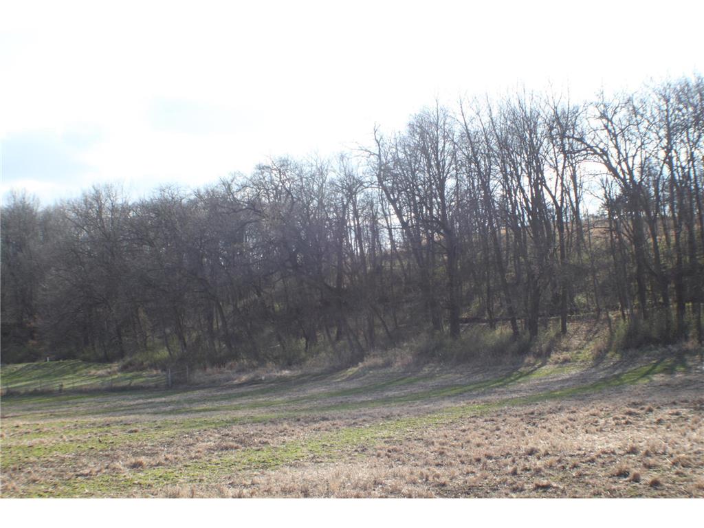 xxxxC Kings Park Road NW Oronoco Twp MN 55960 6707220 image6