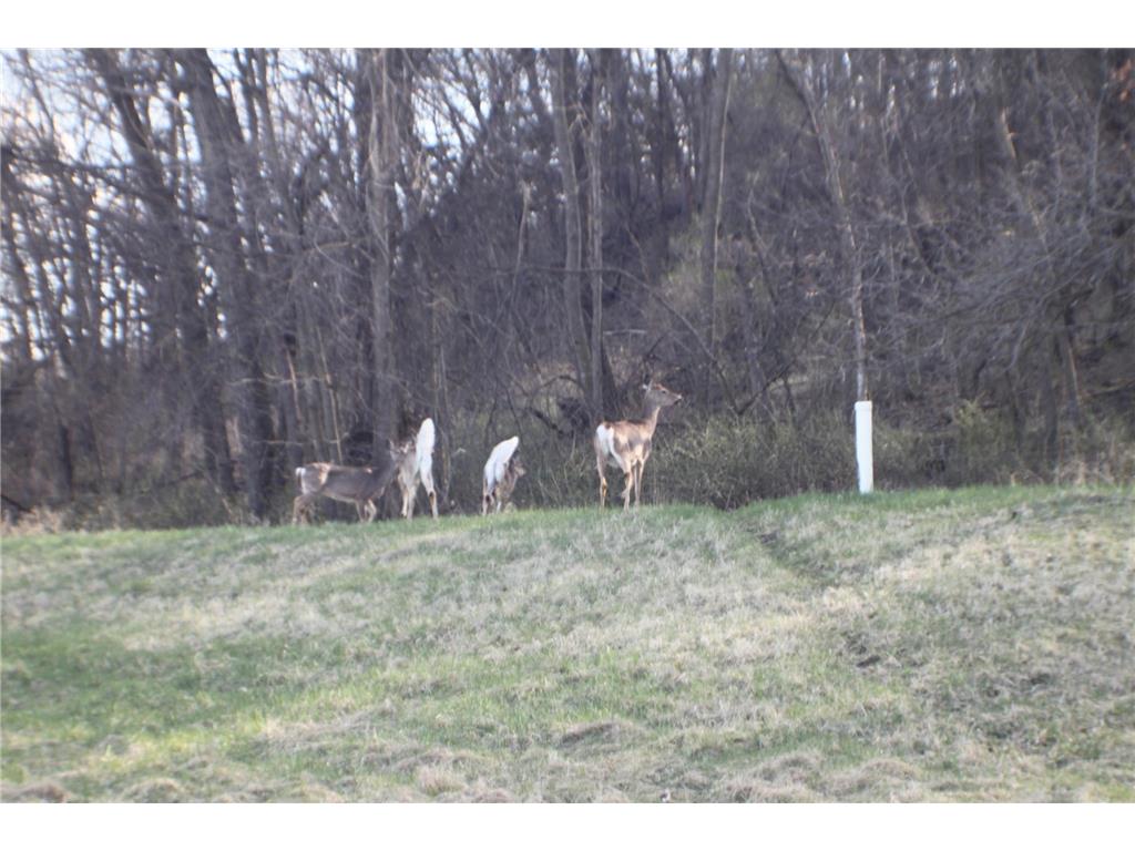 xxxxC Kings Park Road NW Oronoco Twp MN 55960 6707220 image7