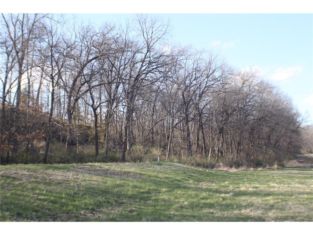 xxxxC Kings Park Road NW Oronoco Twp MN 55960 6707220 image8