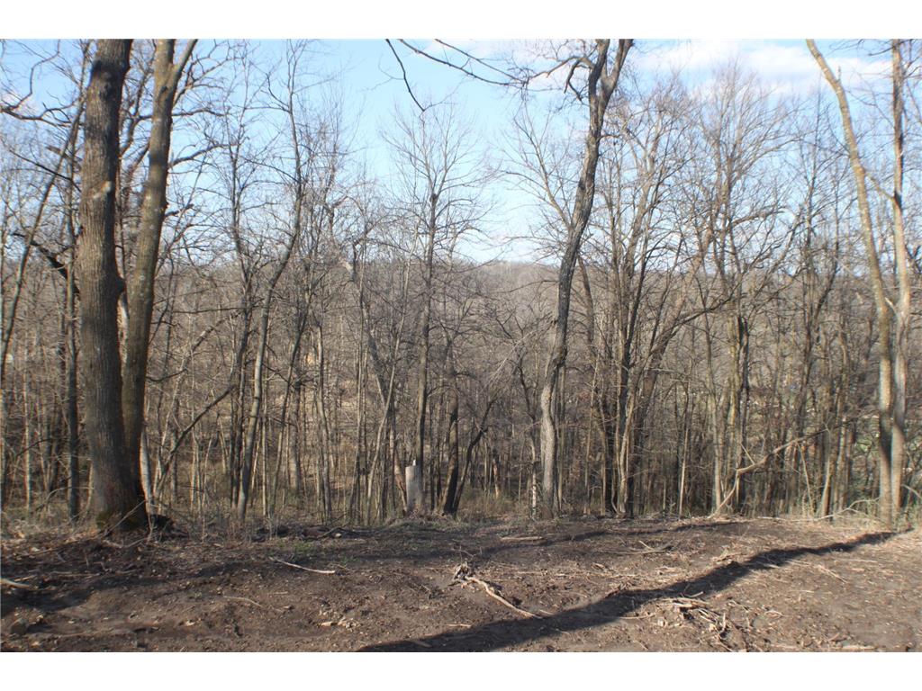 xxxxC Kings Park Road NW Oronoco Twp MN 55960 6707220 image9