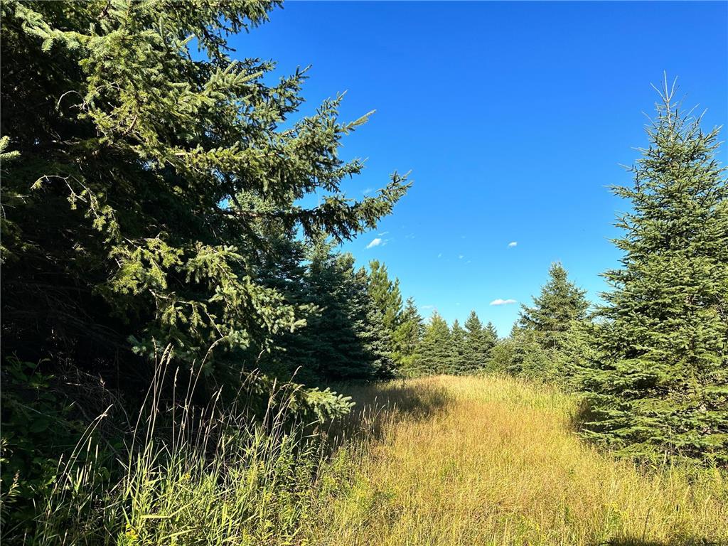 8282 County Road 30 Big Falls MN 56627 6418232 image1