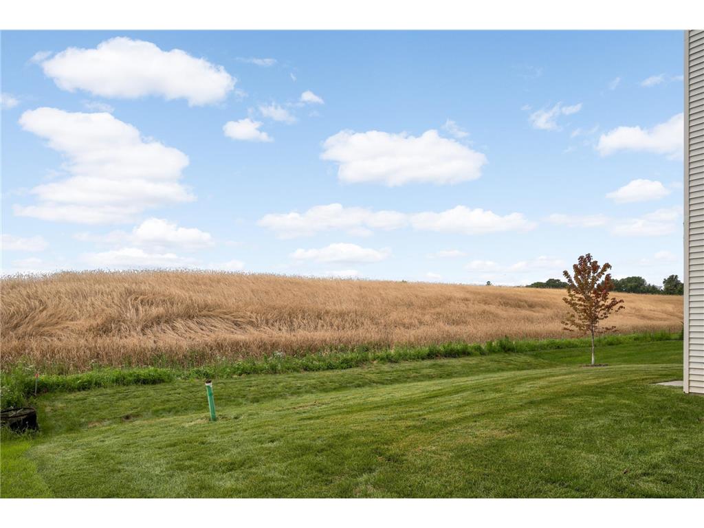 8292 186th Street W Lakeville MN 55044 7115203 image31