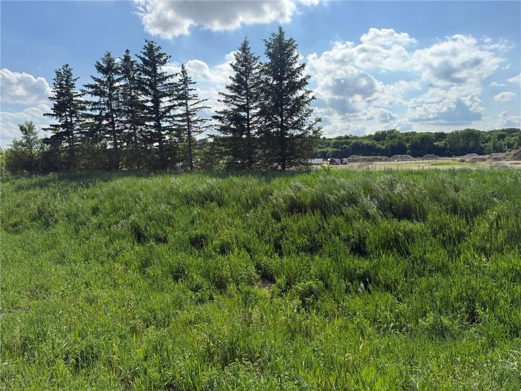 8292 Cabot Avenue Medford MN 55049 7007114 image2