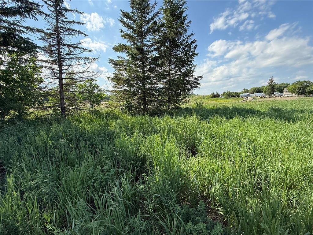 8292 Cabot Avenue Medford MN 55049 7007114 image3