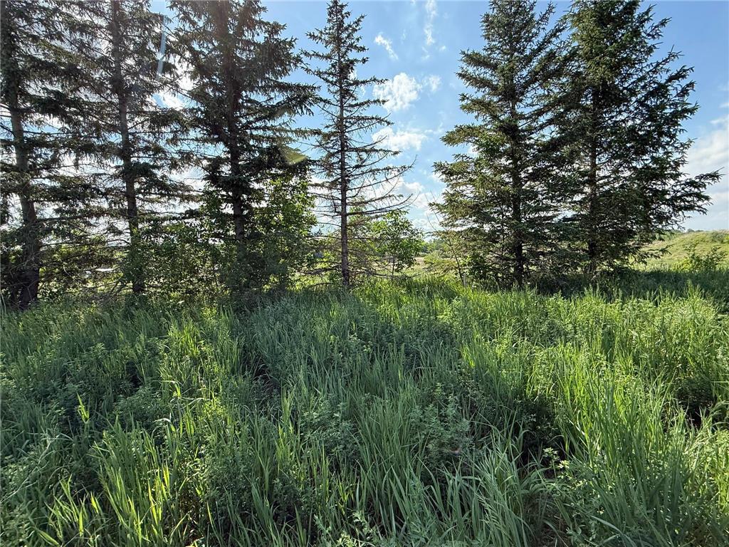 8292 Cabot Avenue Medford MN 55049 7007114 image4