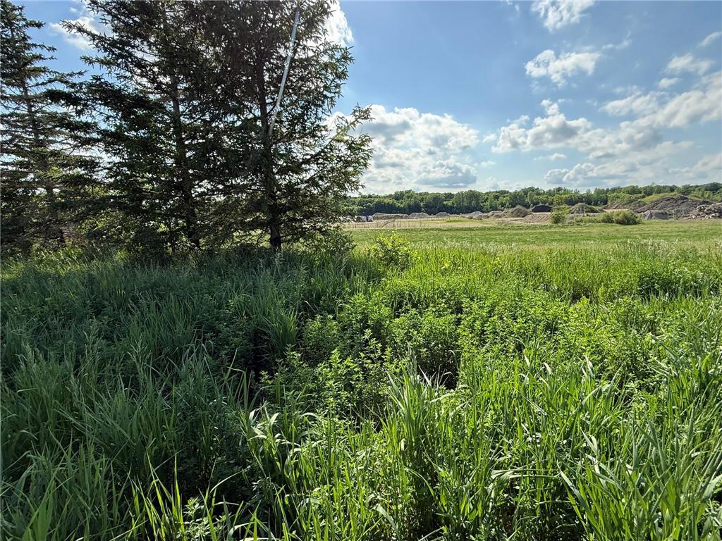 8292 Cabot Avenue Medford MN 55049 7007114 image7