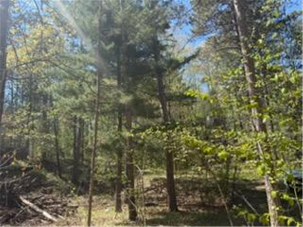 8293 Interlachen Road Lake Shore MN 56468 - Margaret Lake 7078836 image10