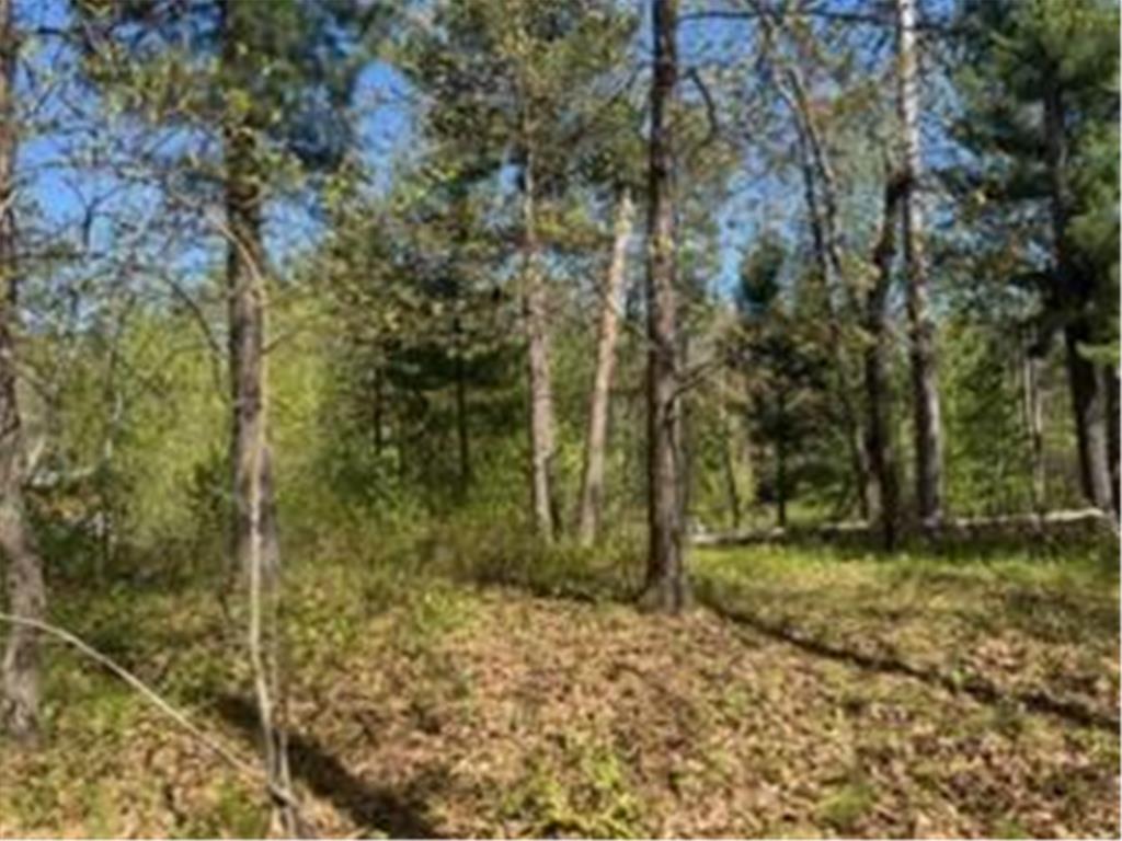 8293 Interlachen Road Lake Shore MN 56468 - Margaret Lake 7078836 image3