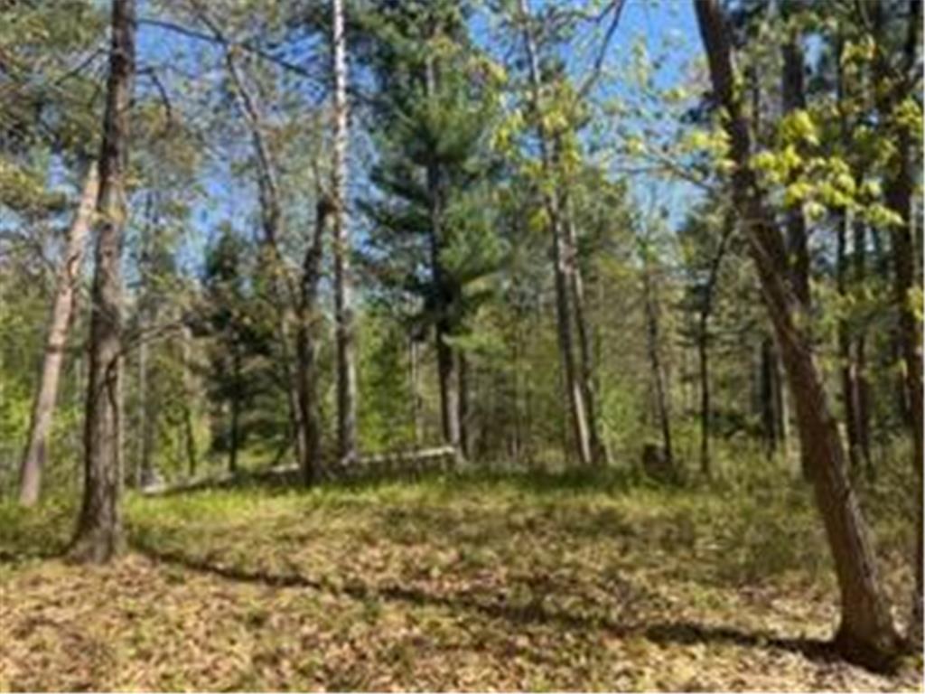 8293 Interlachen Road Lake Shore MN 56468 - Margaret Lake 7078836 image4