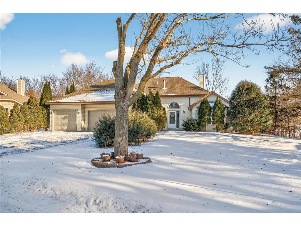 8295 Jewel Avenue S Cottage Grove MN 55016 7031106 image1