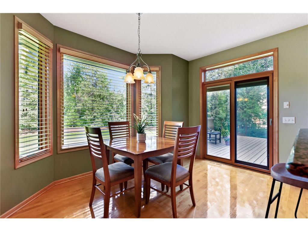 830 Fox Path Court Medina MN 55340 7084654 image11