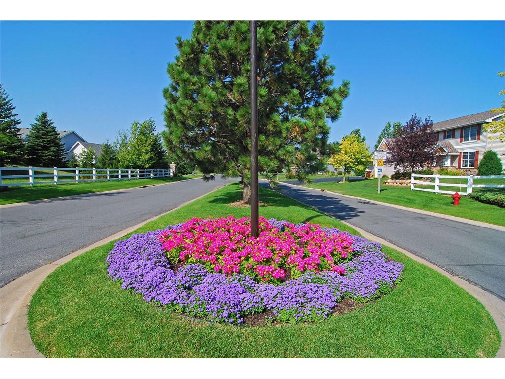 830 Fox Path Court Medina MN 55340 7084654 image41