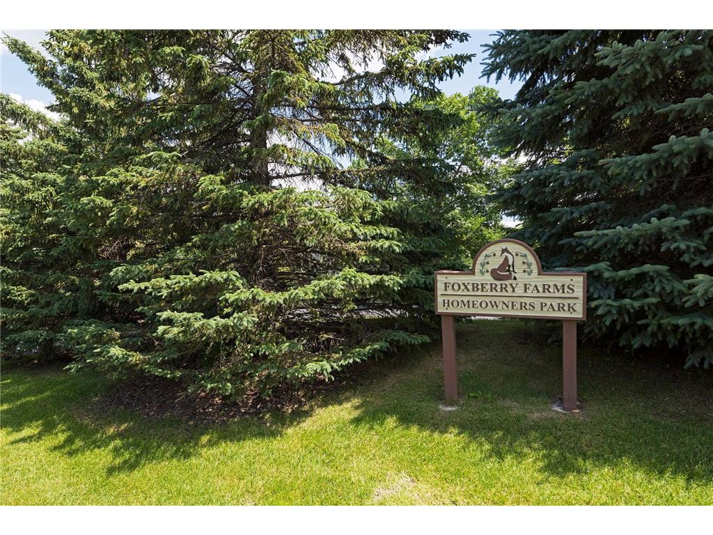 830 Fox Path Court Medina MN 55340 7084654 image42
