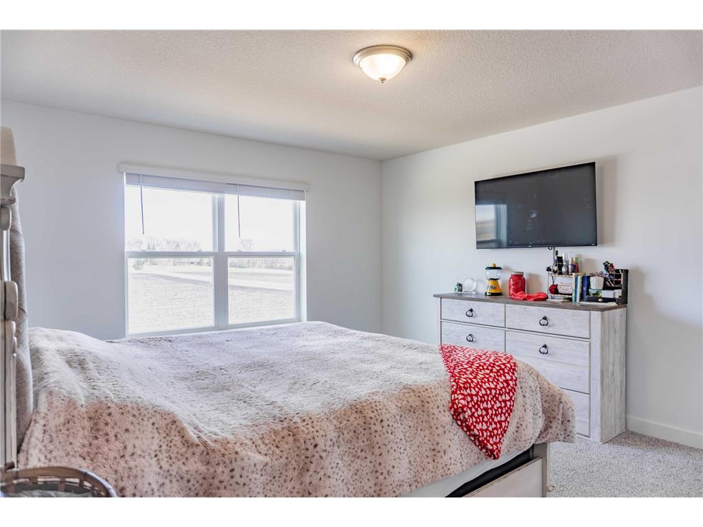 830 Foxglove Terrace Waconia MN 55387 6824001 image38