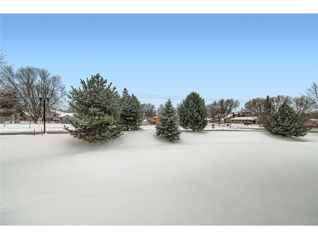 8301 63rd Street S Cottage Grove MN 55016 6795324 image30