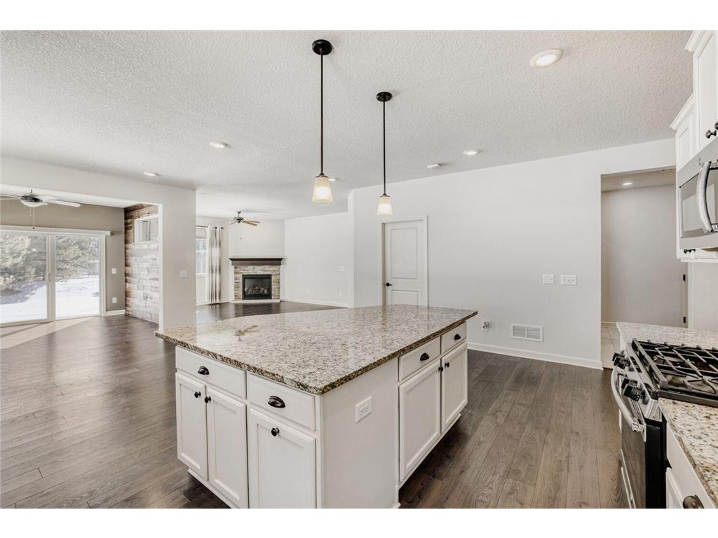 8301 63rd Street S Cottage Grove MN 55016 6795324 image9