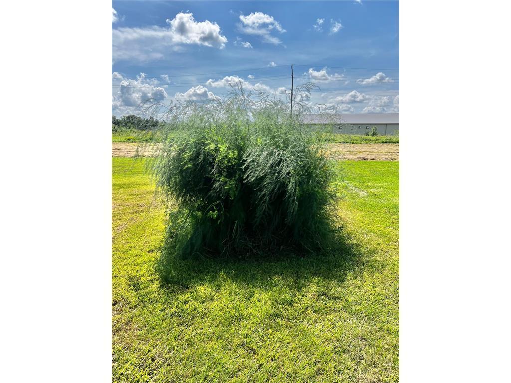 83025 160th Street Hawk Creek Twp MN 56285 6794006 image42