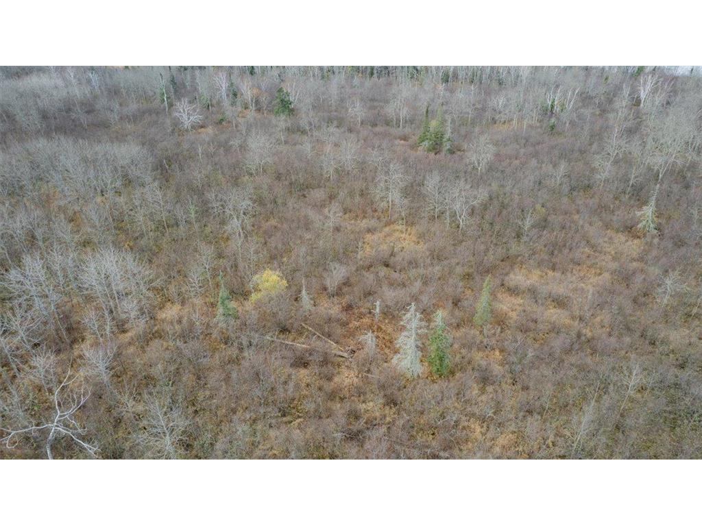 8303 Camp Amnicon RD Lot 1 Lakeside Twp WI 54874 - Lake Superior 6820896 image3
