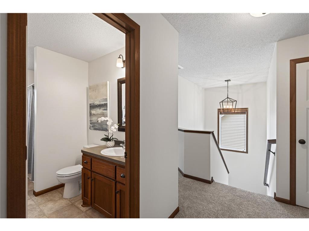 8309 132nd Lane W Savage MN 55378 7070145 image28