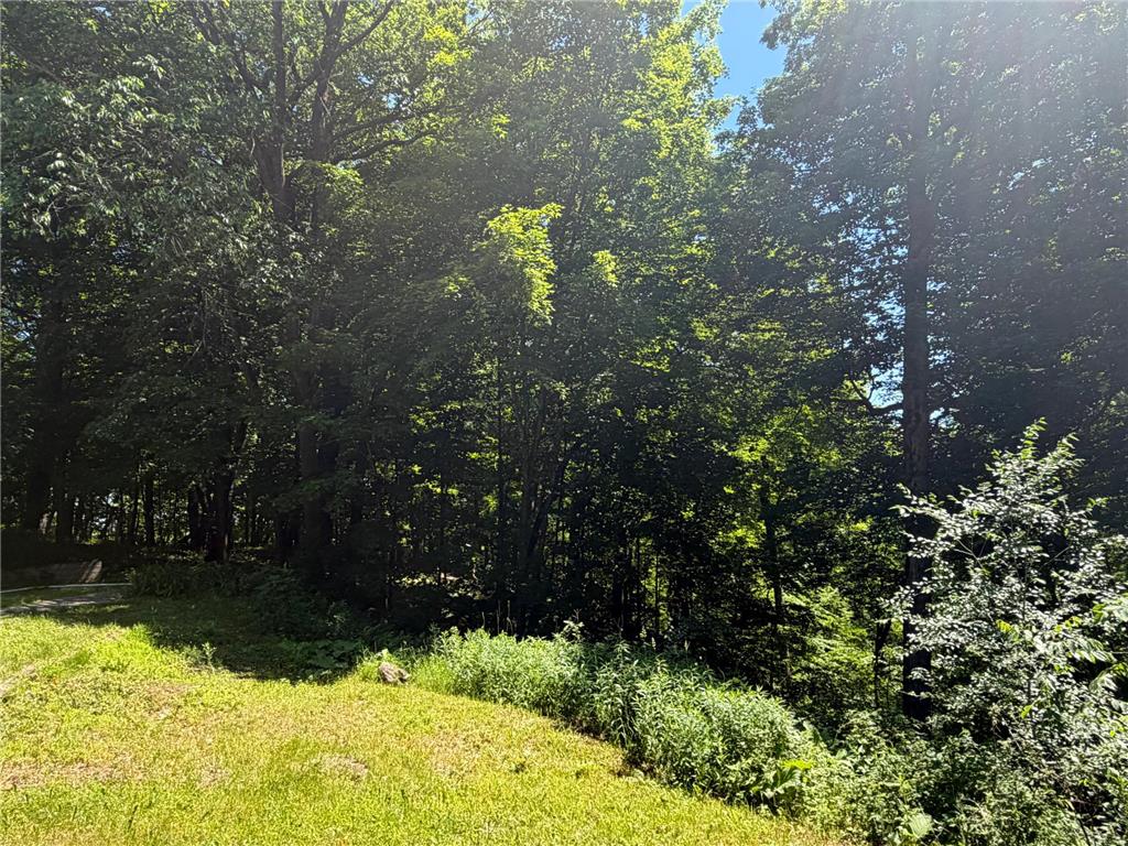 8309 County Road 19 SE Rochester MN 55904 6808522 image2