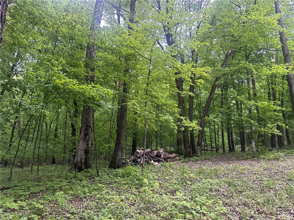 8309 County Road 19 SE Rochester MN 55904 6808522 image24